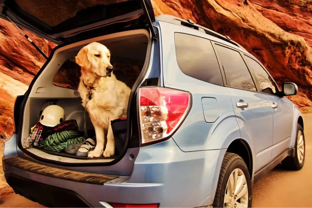 Subaru Forester dog seat cover