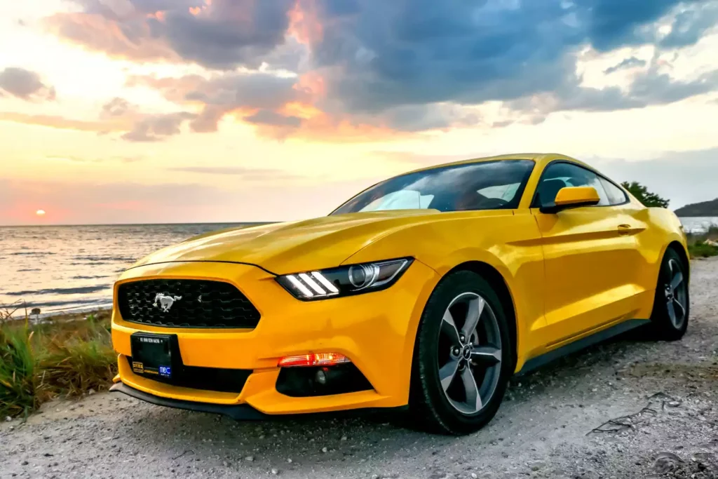 trash containers for Ford Mustang