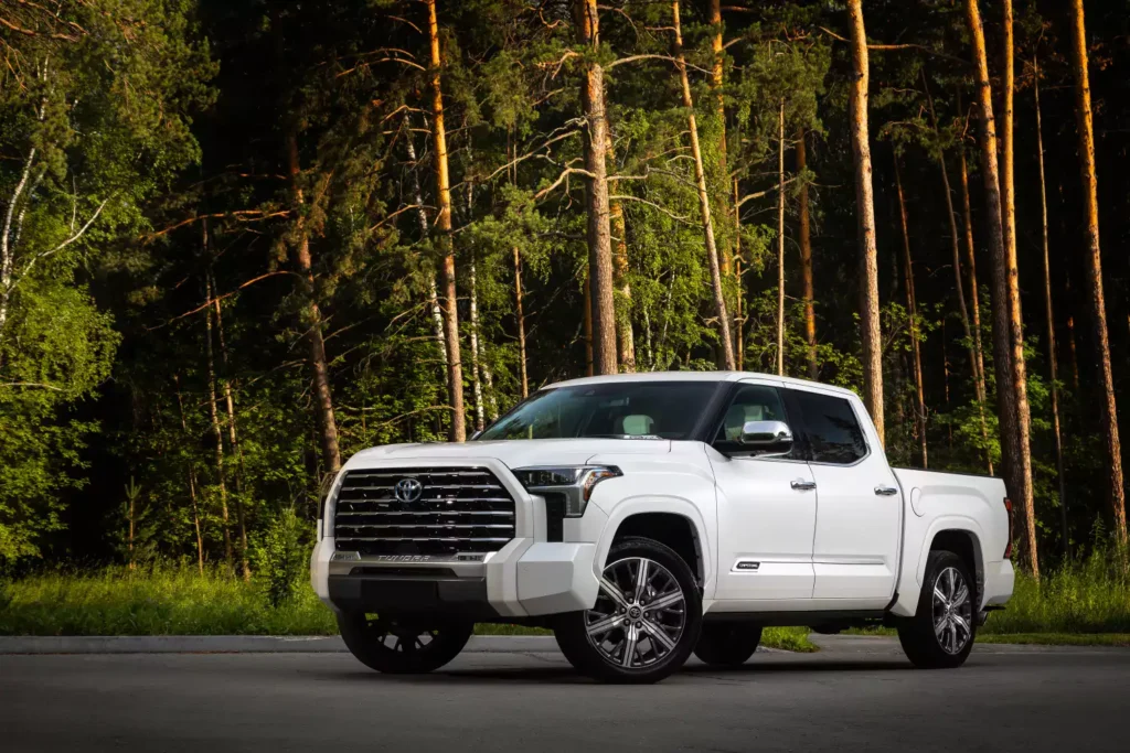 Toyota Tundra car trash can