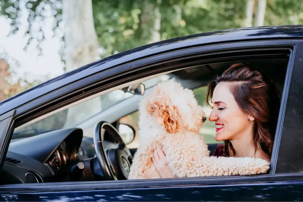 Jeep Renegade back seat cover for Poodles