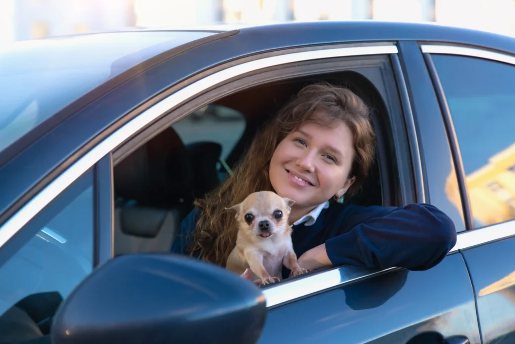 Ford Mustang Dog Safety Belt for Chihuahuas