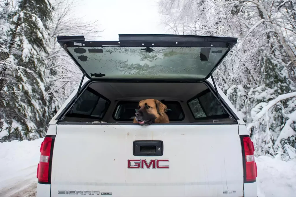 GMC Sierra dog seat cover