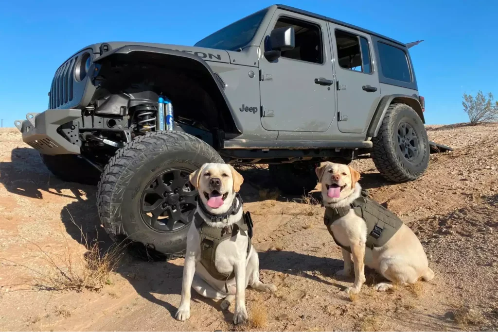 Jeep Wrangler dog seat cover