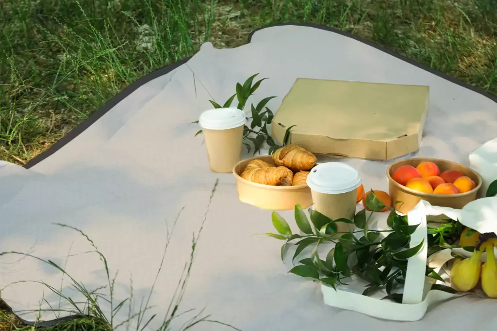 Luxury Picnic Blankets