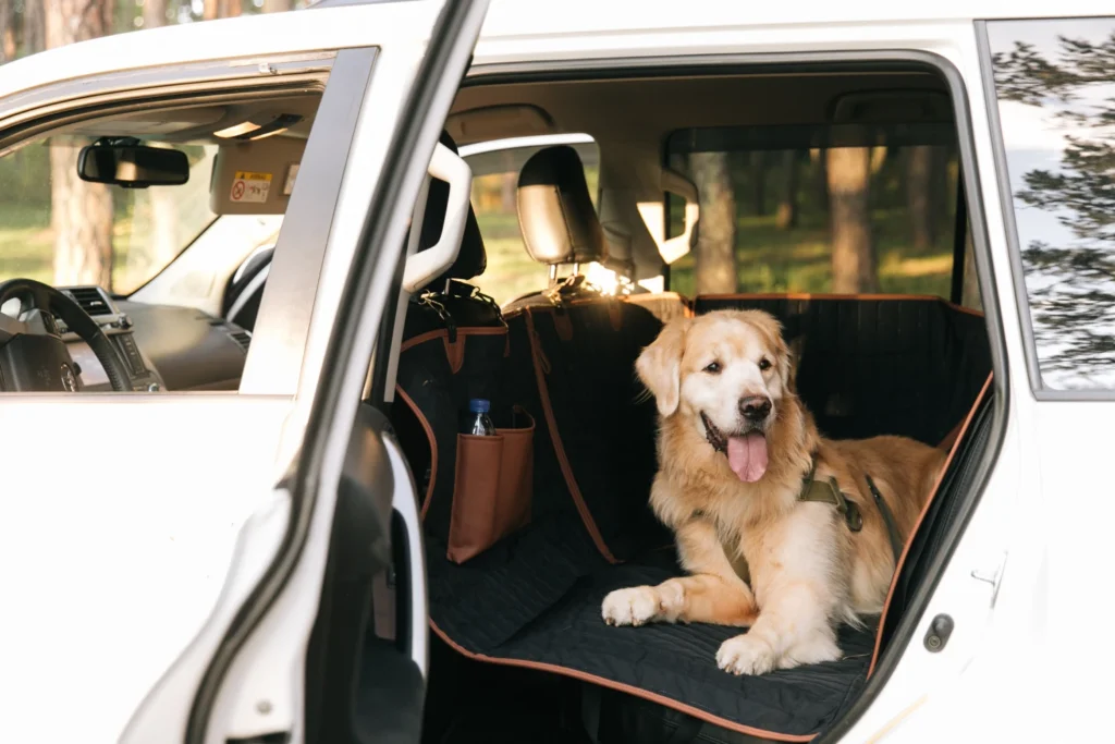 Toyota Camry dog seat cover