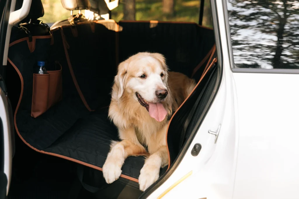 Subaru Outback dog seat cover