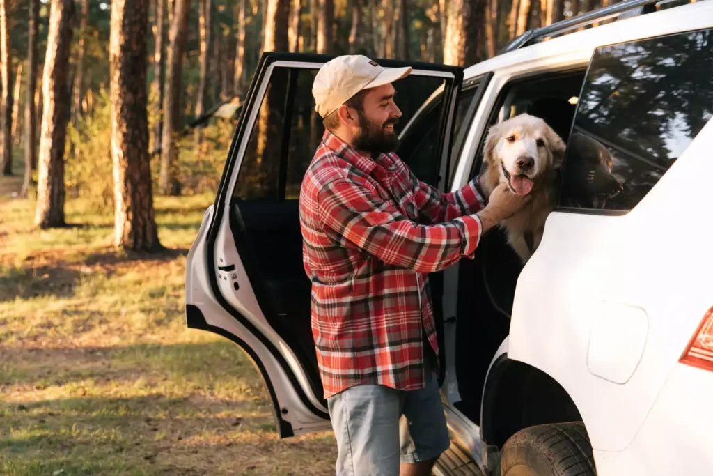 Subaru Outback dog seat cover