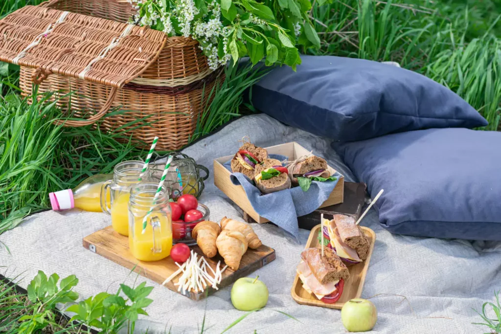 travel picnic blanket