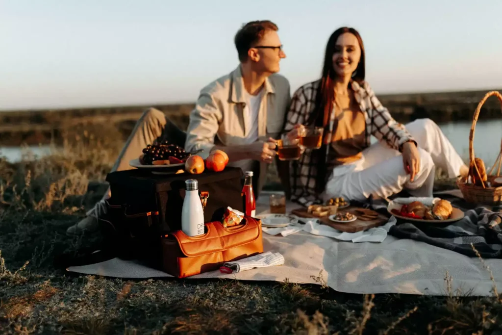 travel picnic blanket