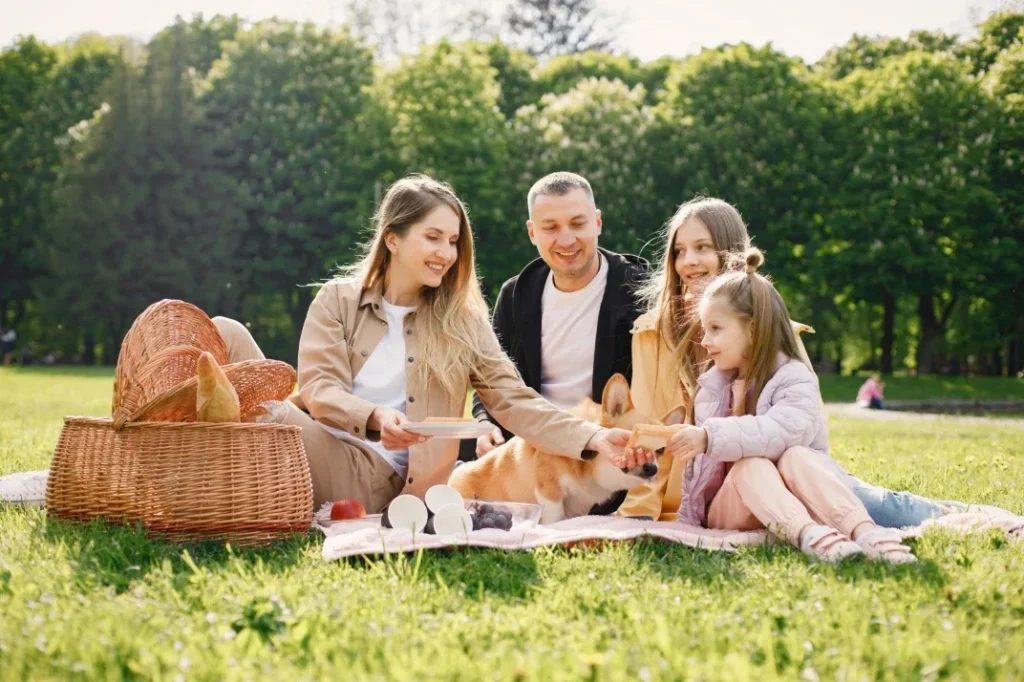 Luxury Picnic Blankets