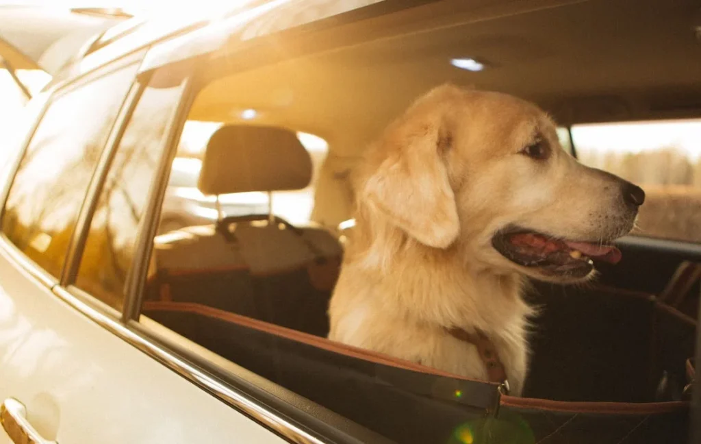 Honda CR-V dog seat cover