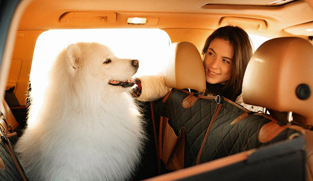 Jeep Wrangler dog seat cover