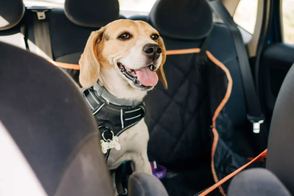 Pet Seat Cover for Nissan Pathfinder