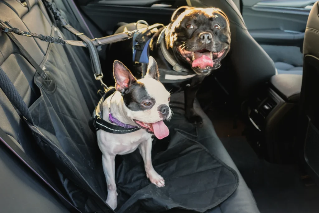 adjustable dog car seat belt