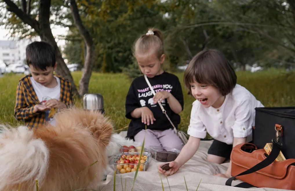 Garden Party Picnic Blanket