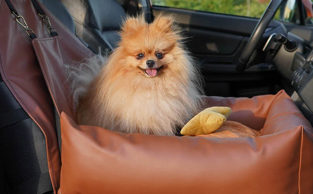 animal car seat