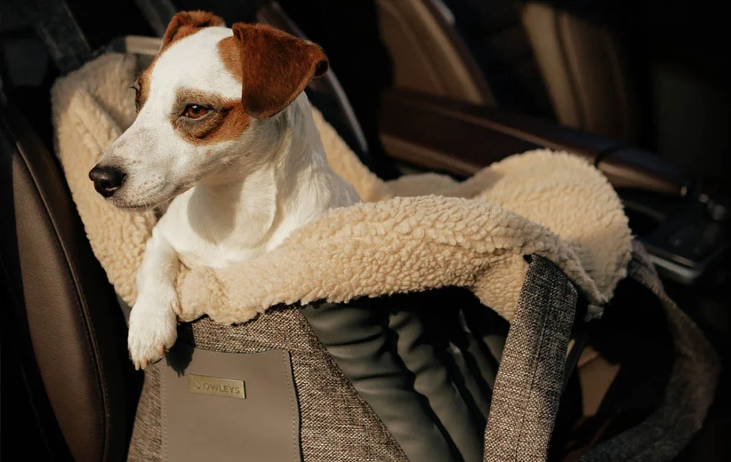 3-in-1 dog bed carrier and car seat