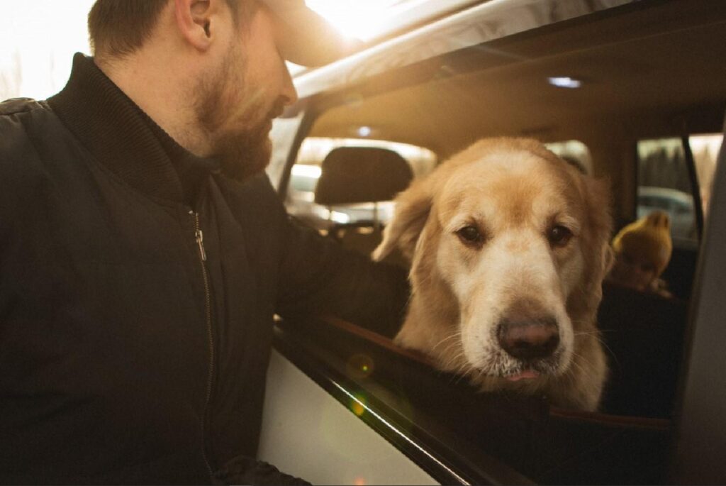 GMC Sierra dog seat cover