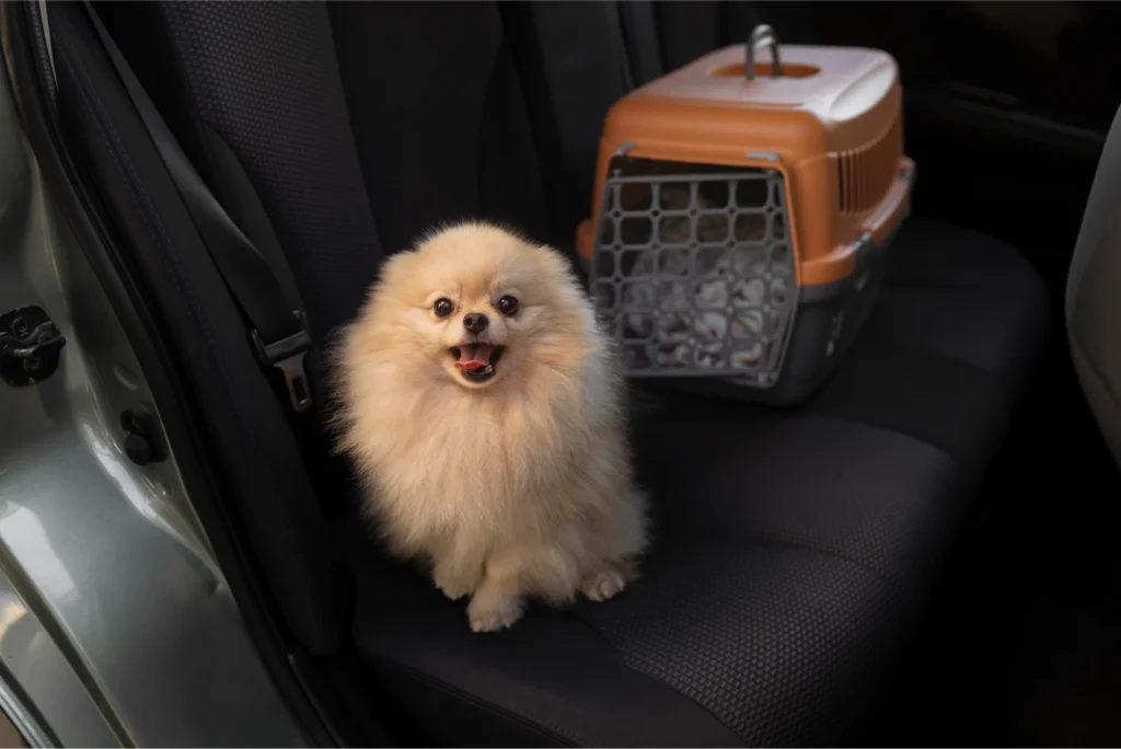 Mazda6 back seat cover for Pomeranians