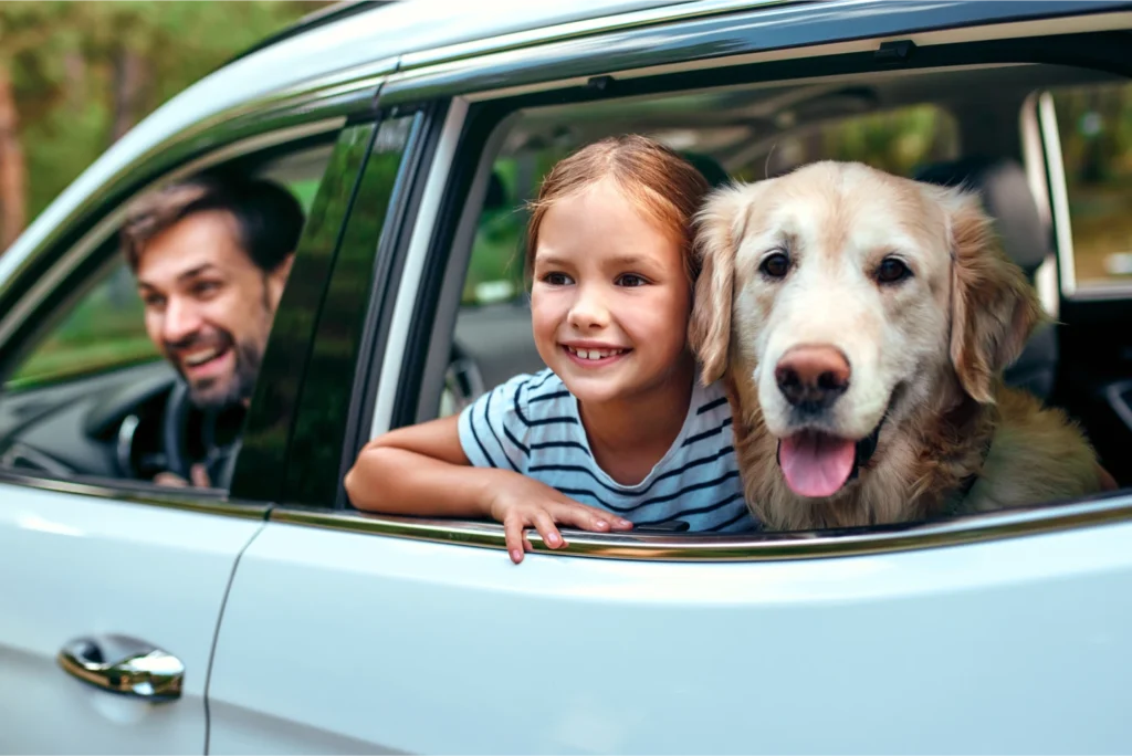 how to keep things from sliding around in suv