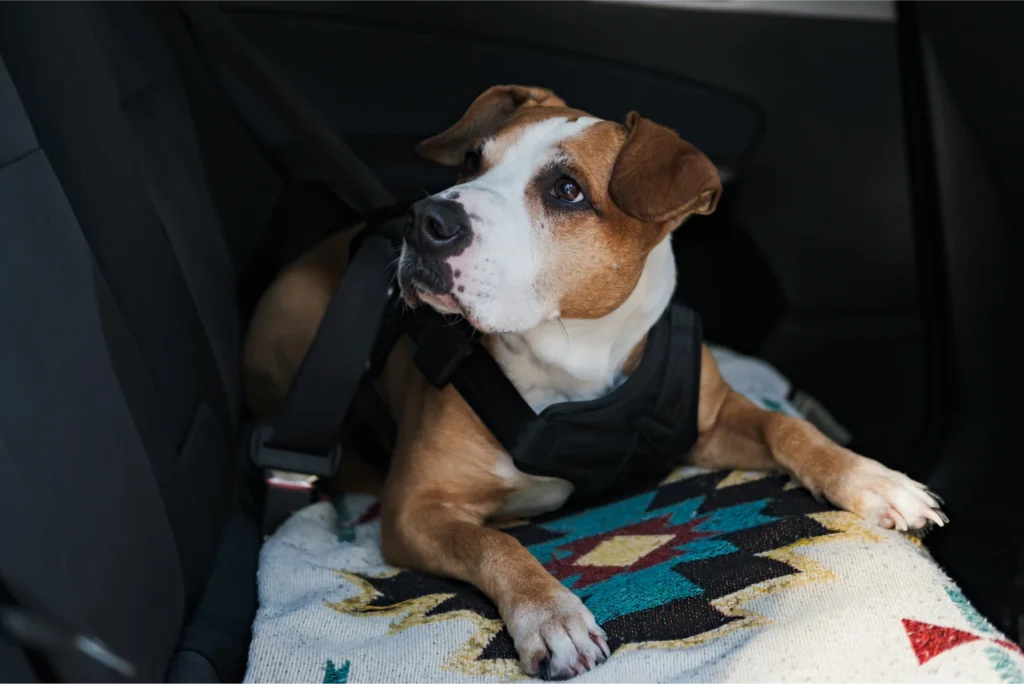 dog back seat cover for Chevrolet Blazer