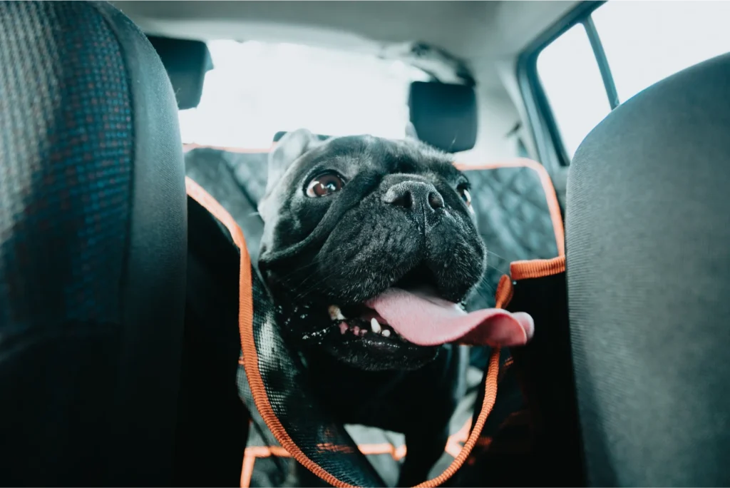 Pet Seat Cover for Jeep Grand Cherokee