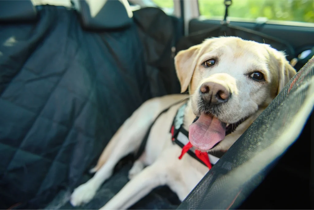 dog back seat cover for Kia Optima