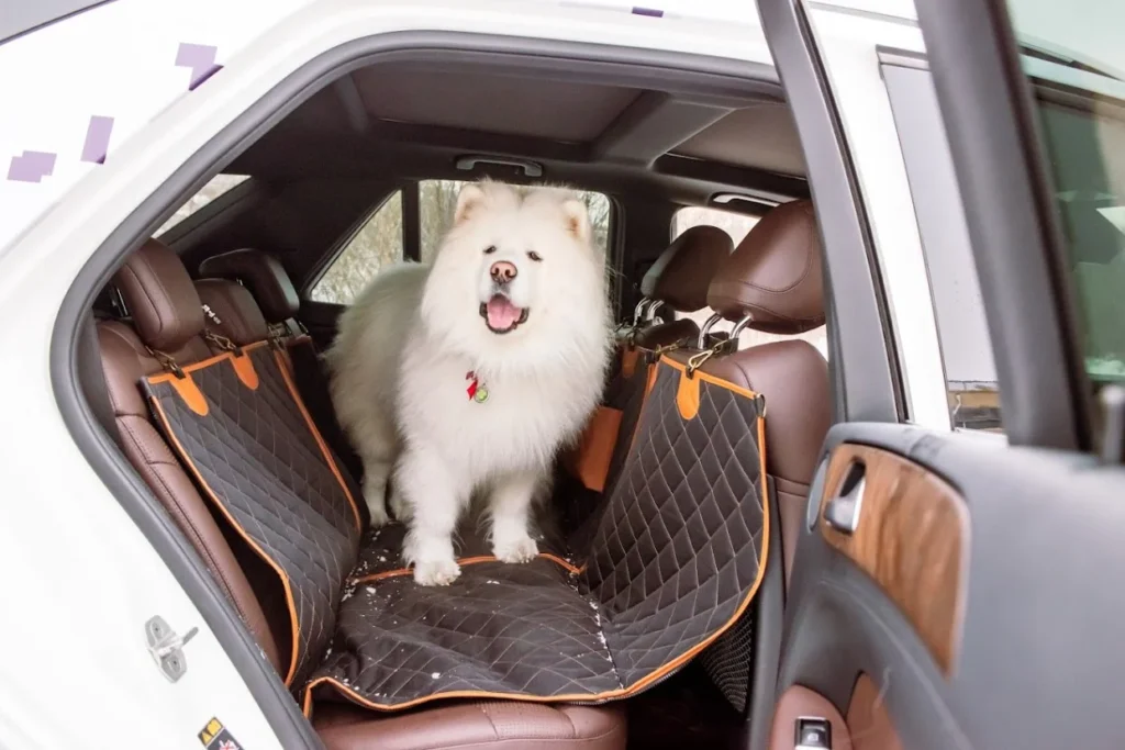 Honda Civic dog seat cover