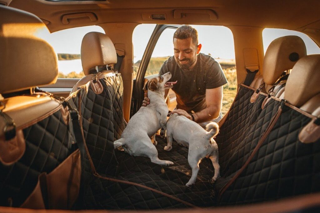 GMC Sierra dog seat cover