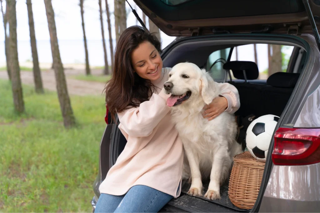 Subaru Forester dog seat cover