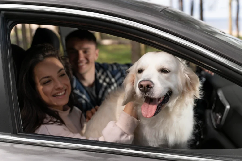 pet seat cover for Nissan Altima