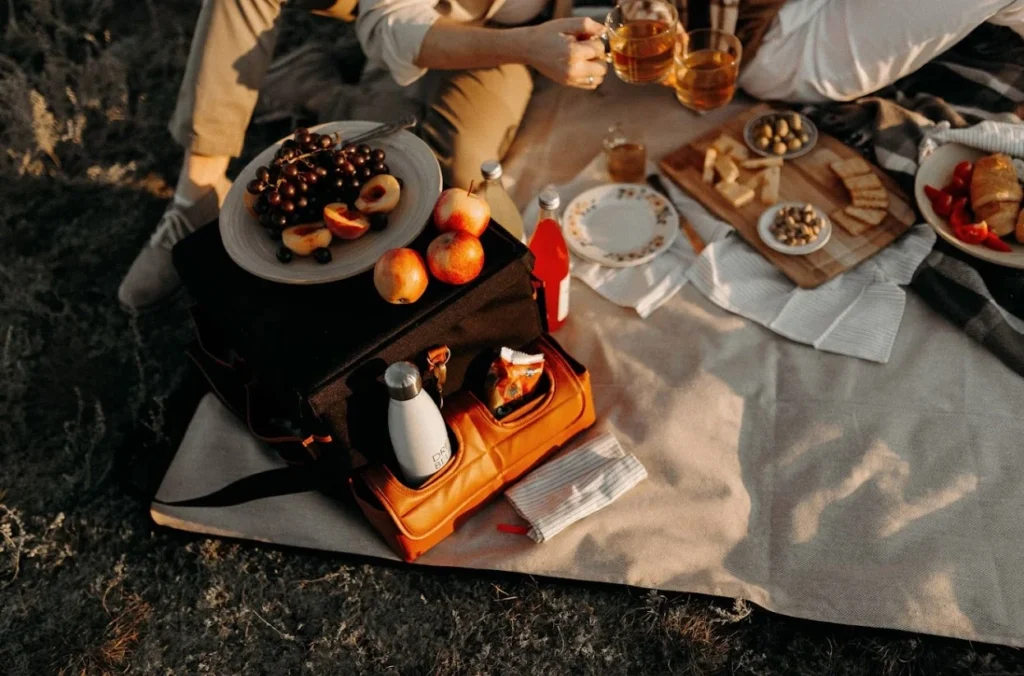 eco friendly picnic blanket