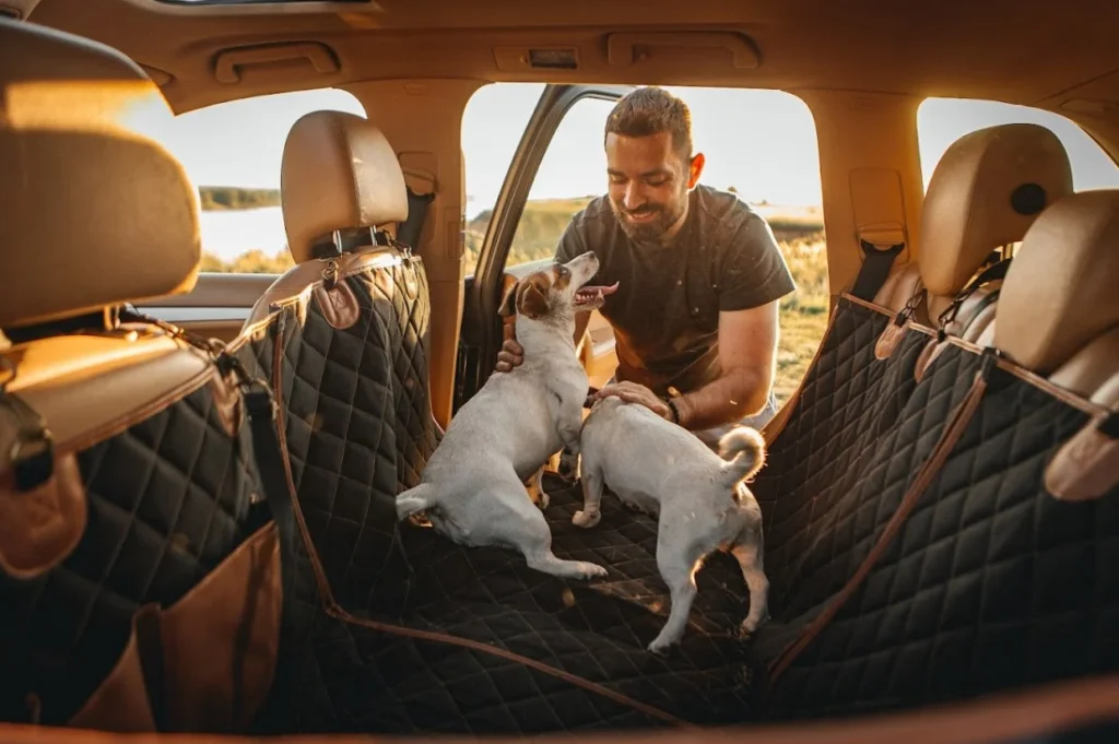 Honda CR-V dog seat cover